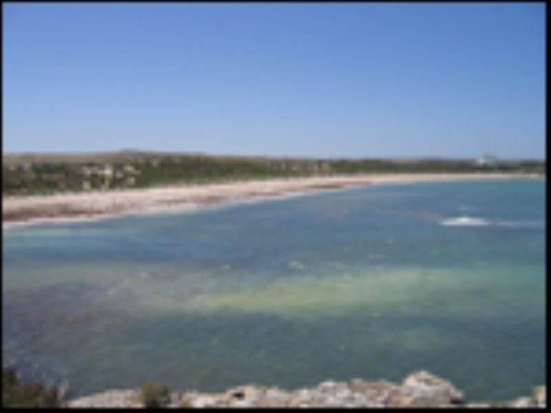 Lot 48-50 Waterloo Bay, Elliston SA 5670