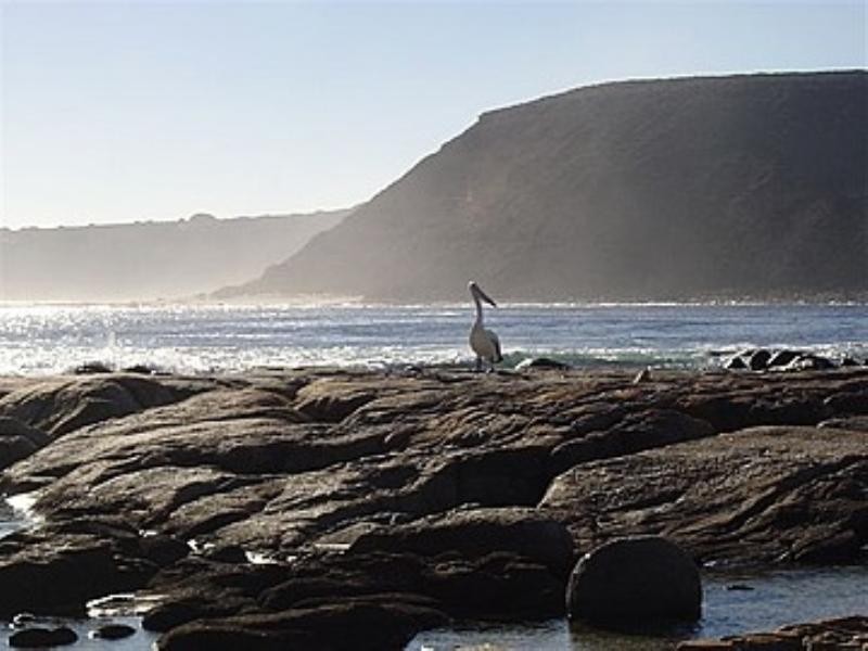 Lots 159 – 161 and 175 -177 Gibson Way, Streaky Bay SA 5680