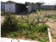 56 Wallis Street, Port Neill SA 5604