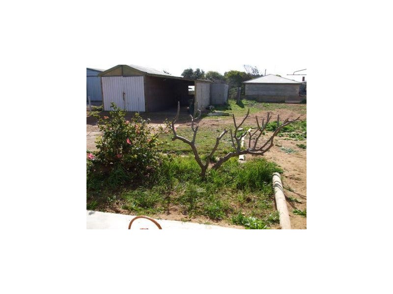 56 Wallis Street, Port Neill SA 5604