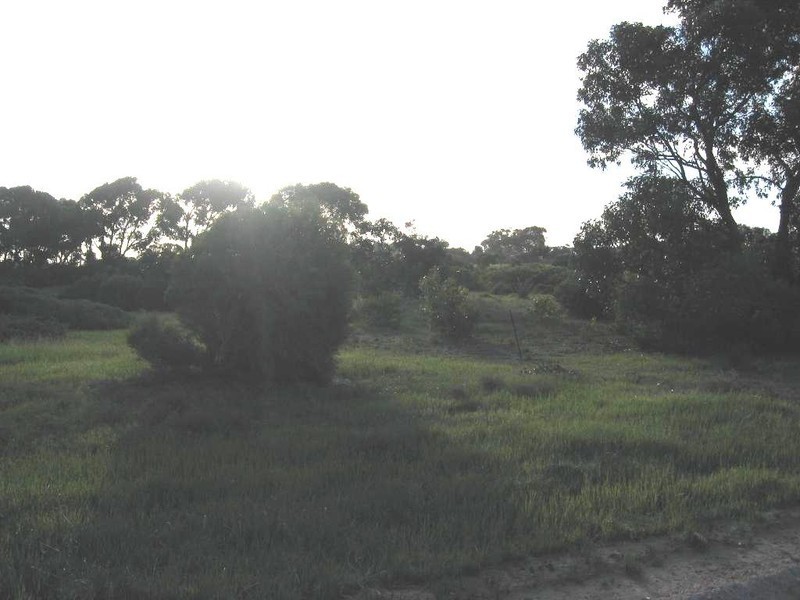 Sct 367 Wookata Drive, Elliston SA 5670