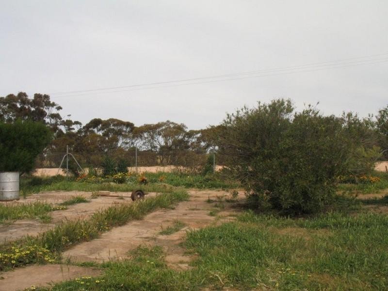 Lots 29, 30 and 32 South Terrace, Murdinga SA 5607