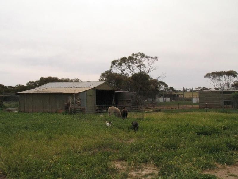 Lots 29, 30 and 32 South Terrace, Murdinga SA 5607