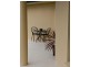 7 Eagle Court, Port Lincoln SA 5606