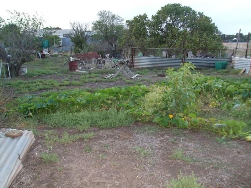 34 – 36 Light Road, Cummins SA 5631