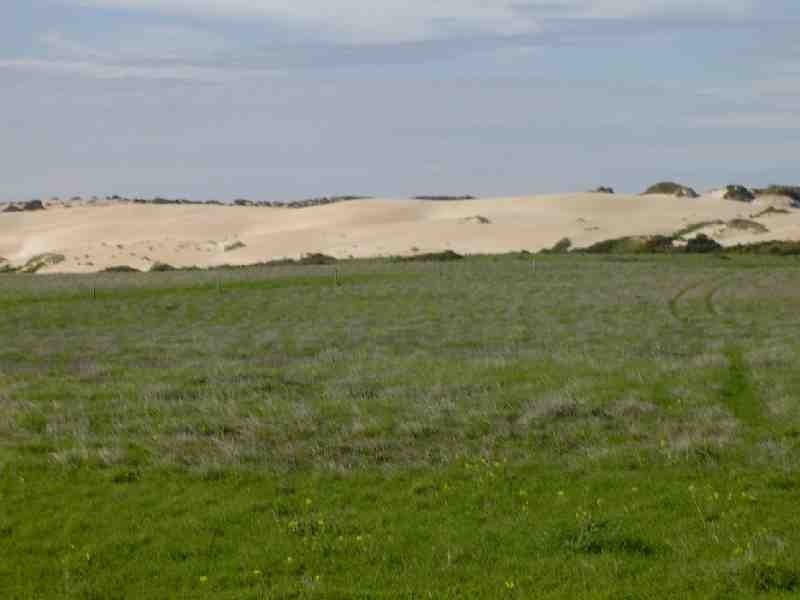 7 Westall Way, Westall SA 5680