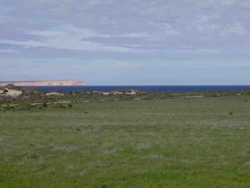 7 Westall Way, Westall SA 5680