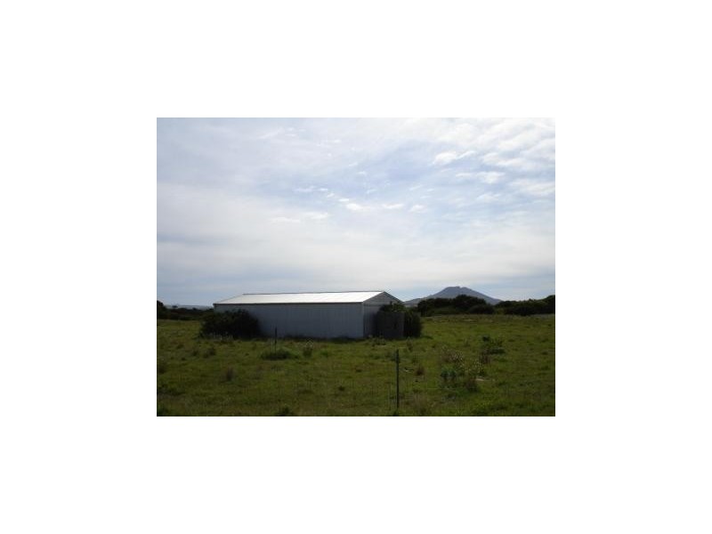 11 Warner Street, Wangary SA 5607