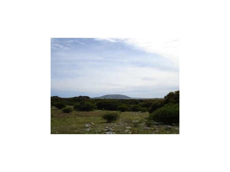 11 Warner Street, Wangary SA 5607