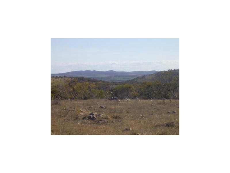 5 and 114W Hundred of Hawker, Cowell SA 5602