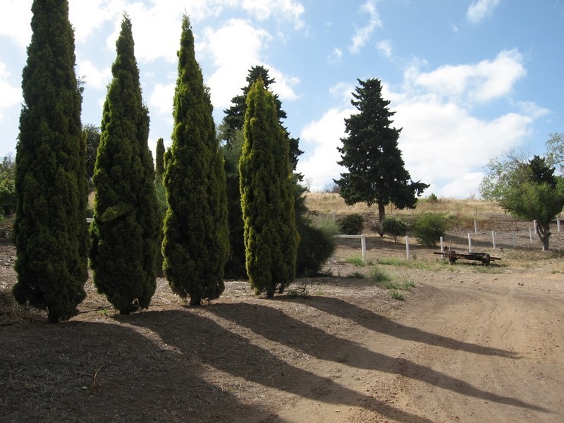 31 Happy Valley Road, Port Lincoln SA 5606