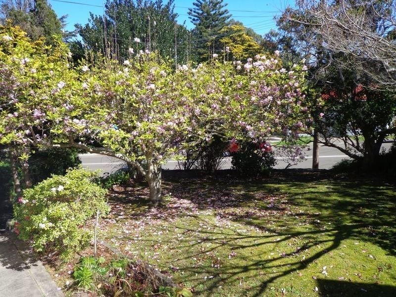160 Midson Road, Epping NSW 2121