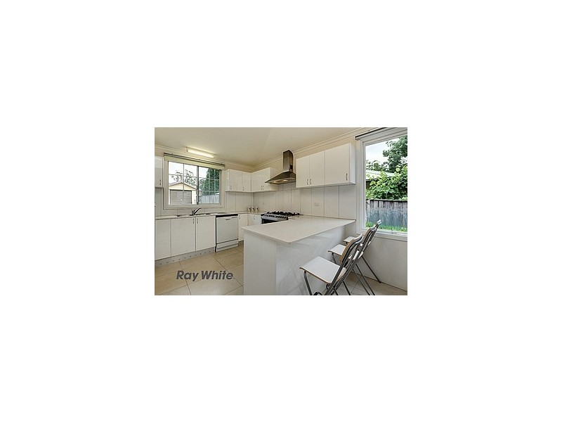 19 Wells Street, Thornleigh NSW 2120
