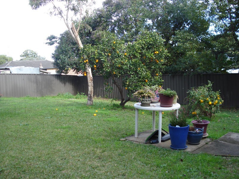 4 Fullarton Street, Dundas NSW 2117