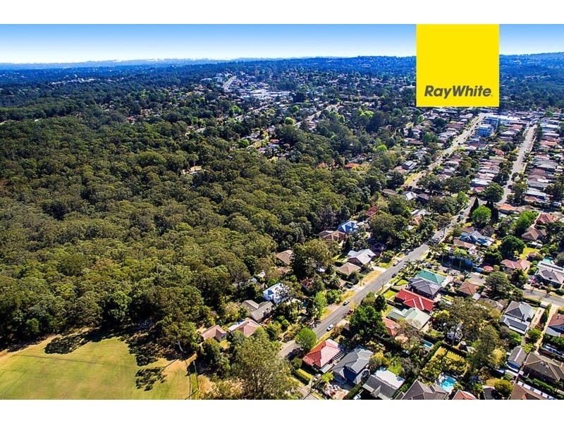 24 Handley Avenue, Thornleigh NSW 2120