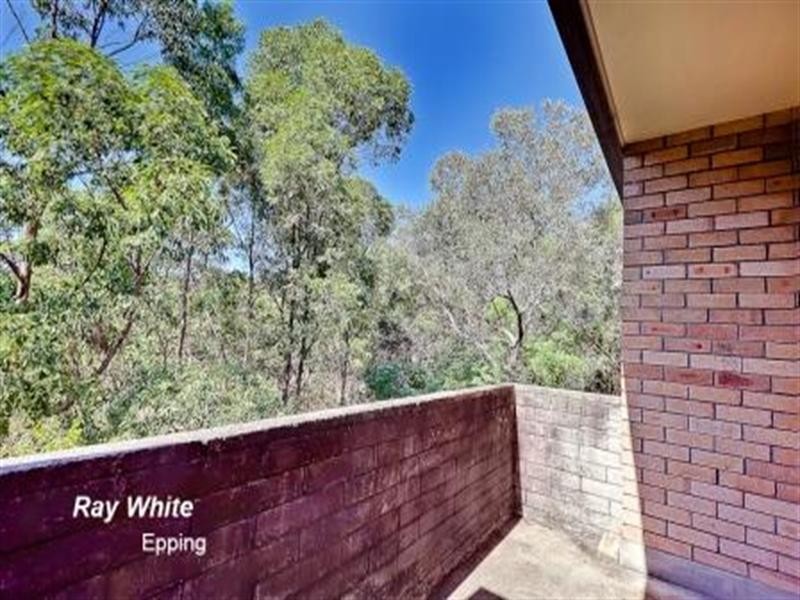 12/9 Peachtree Road, Macquarie Park NSW 2113