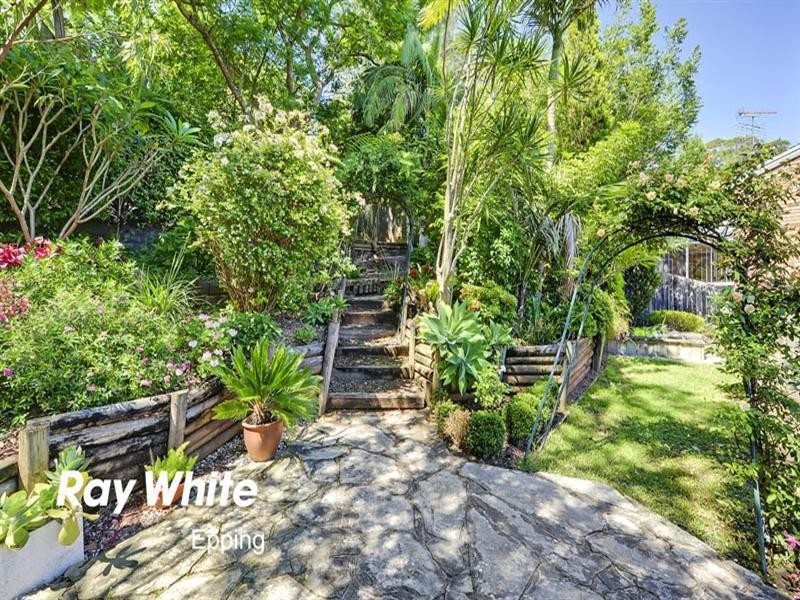 50 Carson Street, Dundas Valley NSW 2117