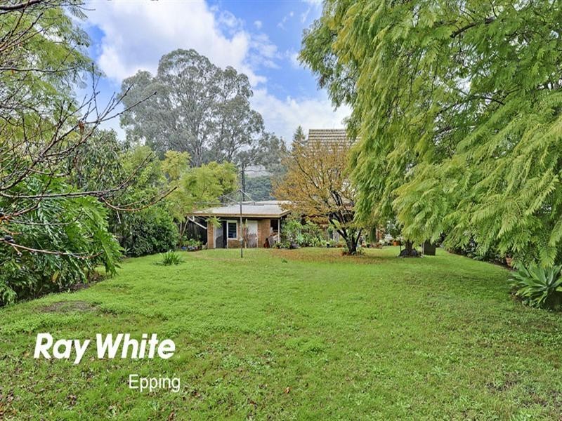 53 Winbourne Street, West Ryde NSW 2114