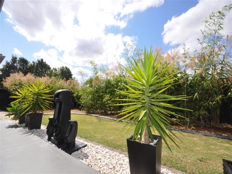 81 Golden Wattle Drive, Narangba QLD 4504