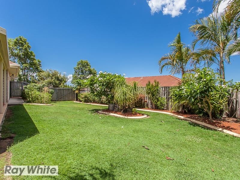 4 Figbird Road, Narangba QLD 4504