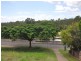 6 Boronia Outlook, Narangba QLD 4504