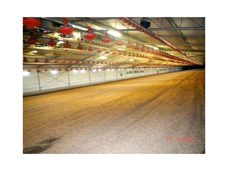 30 Mansfield Road, Elimbah QLD 4516