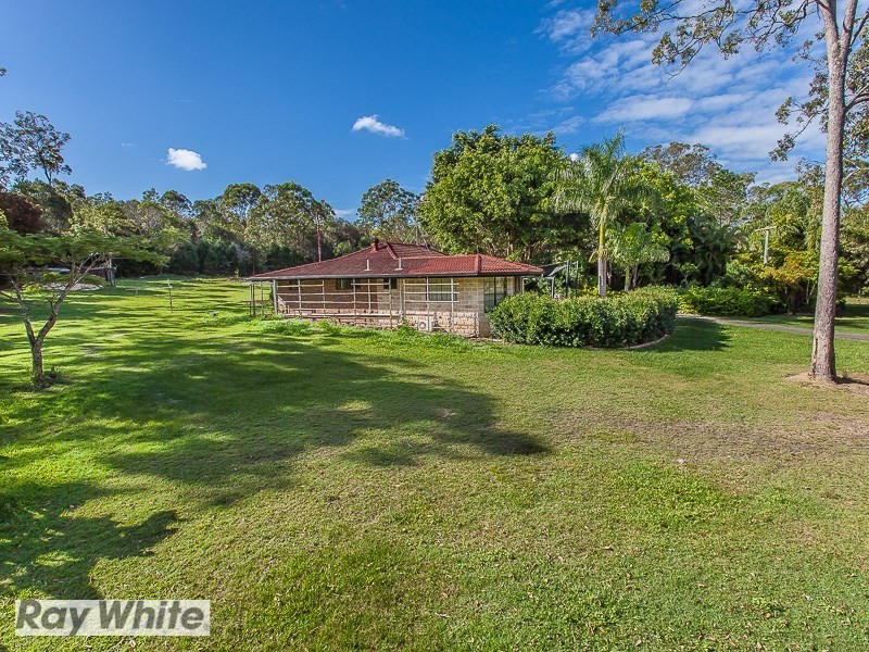 35 Wheaton Street, Narangba QLD 4504