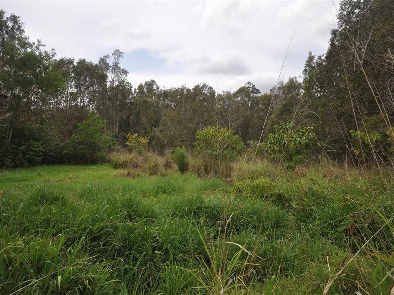 8 Walmsley Street, Narangba QLD 4504