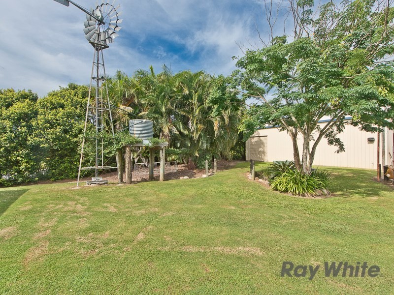 18 Remor Court, Elimbah QLD 4516