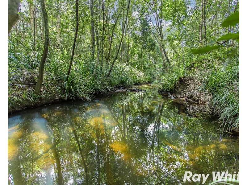 71 Roberts Road, Narangba QLD 4504