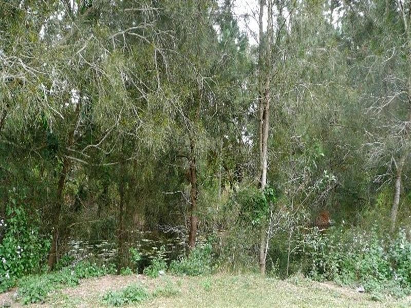 49 Christen Drive, Beachmere QLD 4510