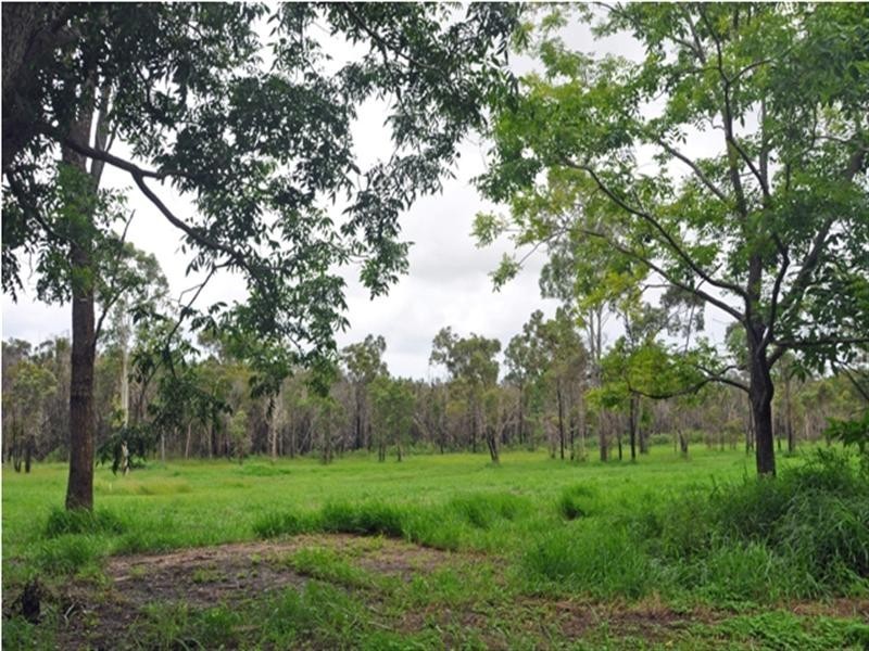 50a Morgan Road, Narangba QLD 4504