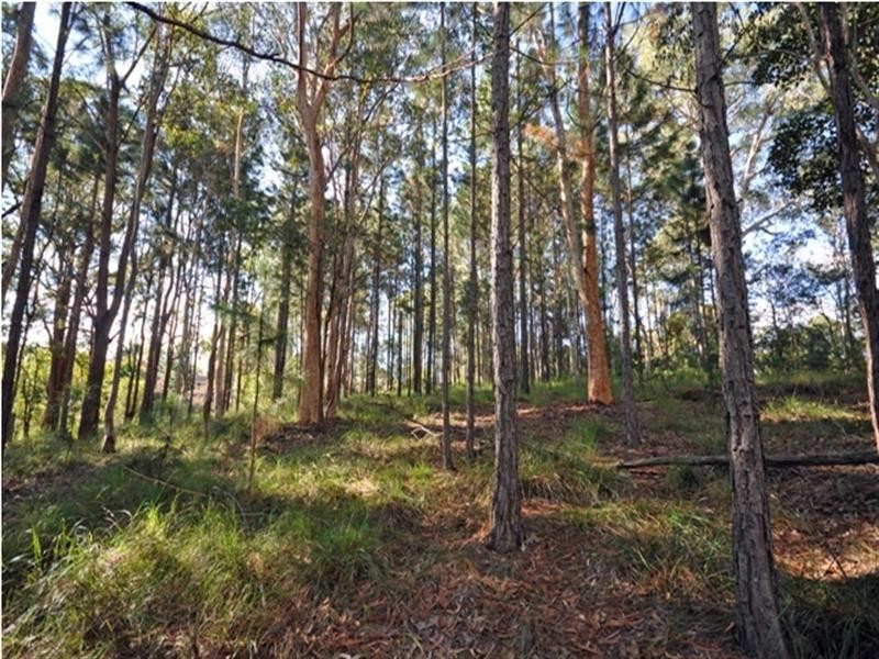 430 Boundary Road, Dakabin QLD 4503