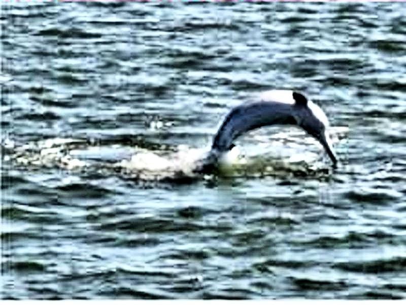 Lot 23/257 Buckley Road, Burpengary QLD 4505