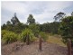 10 Kernel Road, Narangba QLD 4504