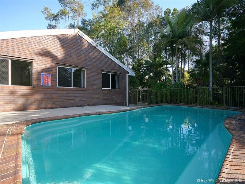 31 Mumford Road, Narangba QLD 4504
