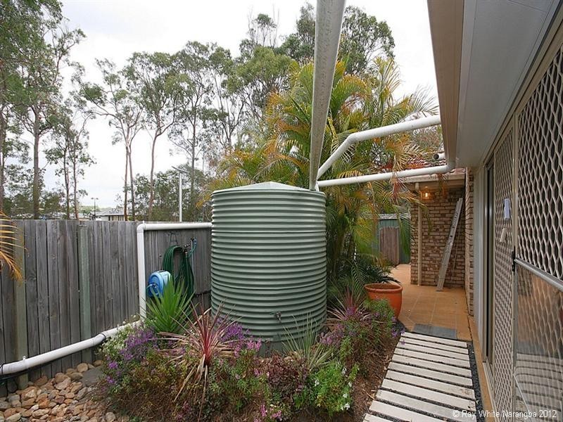 12 Bamboo Court, Narangba QLD 4504