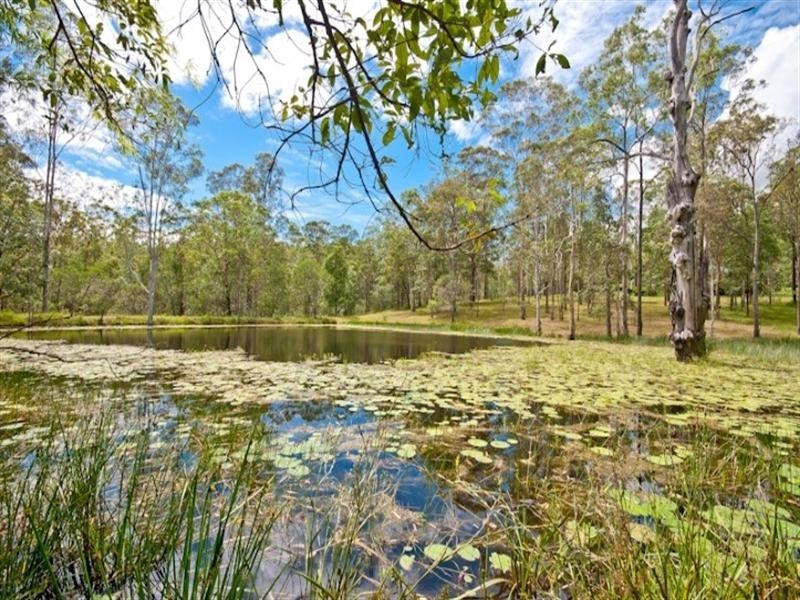 14 Theodore Road, Kurwongbah QLD 4503