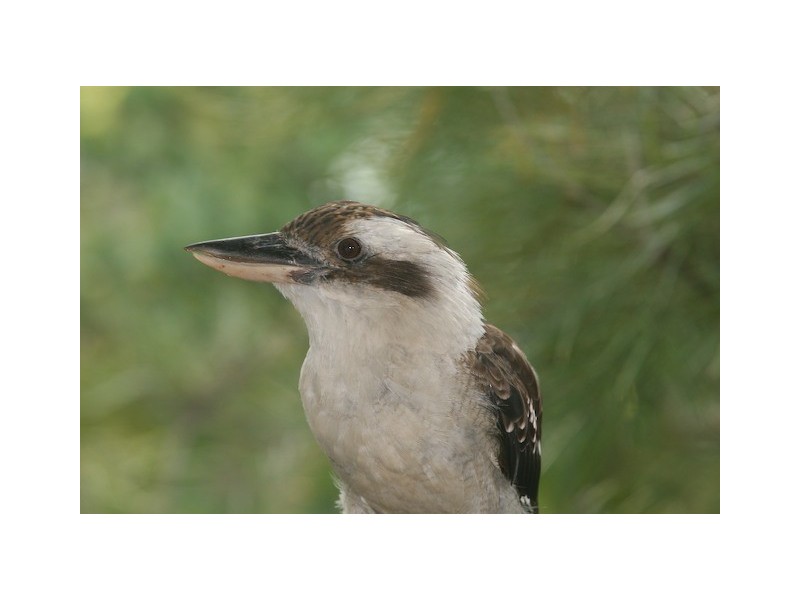 112a Pacific Road, Palm Beach NSW 2108