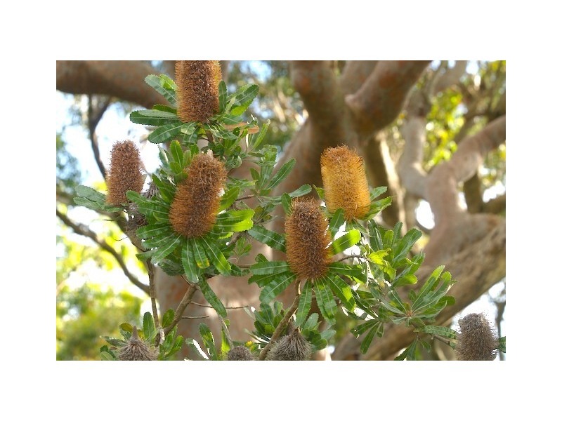 112a Pacific Road, Palm Beach NSW 2108