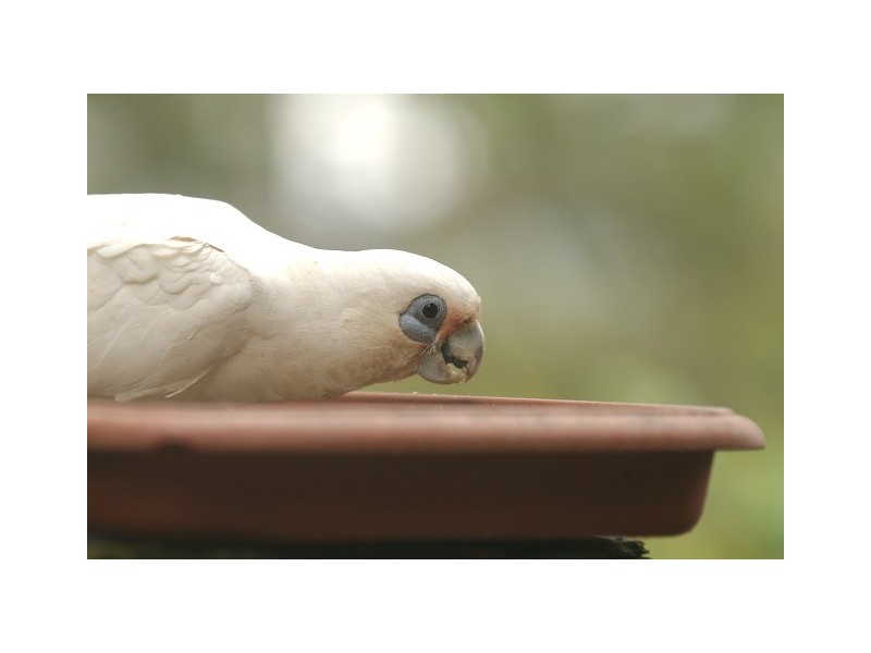 112a Pacific Road, Palm Beach NSW 2108