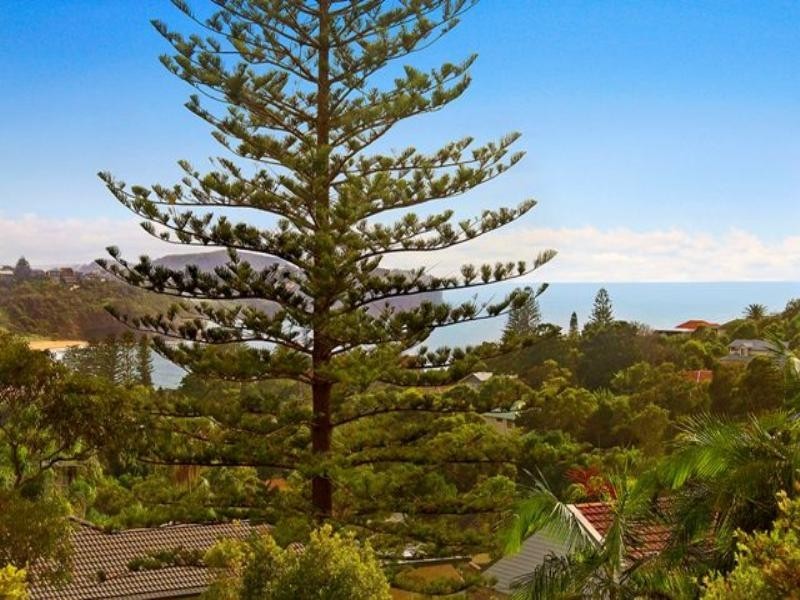 1 Gertrude Avenue, Newport NSW 2106