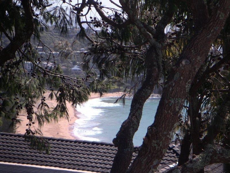 Whale Beach NSW 2107