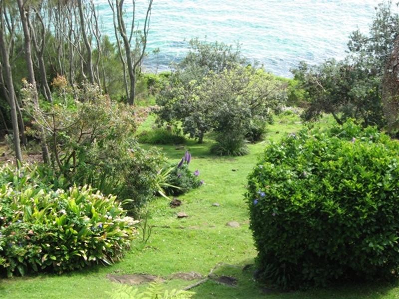 Whale Beach NSW 2107