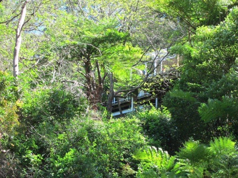 910 Barrenjoey Road, Palm Beach NSW 2108