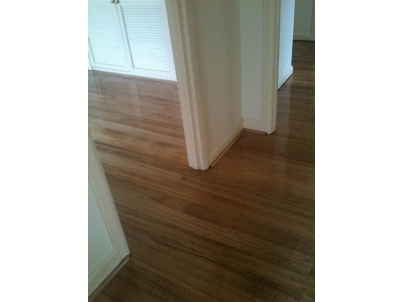 2 Judith Street, Carnegie VIC 3163