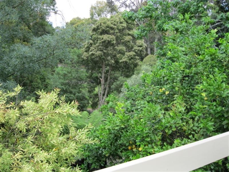 24 Leonard Street, Burwood VIC 3125