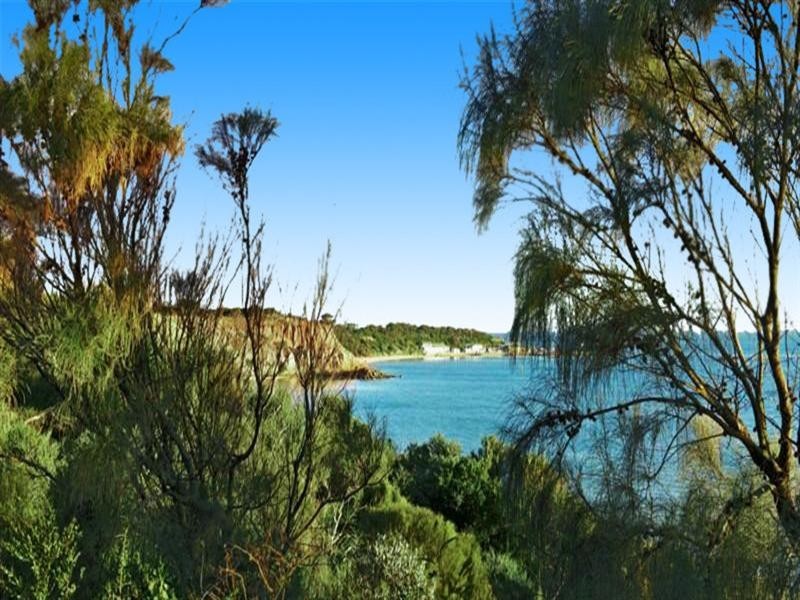 25/170 Beach Road, Sandringham VIC 3191