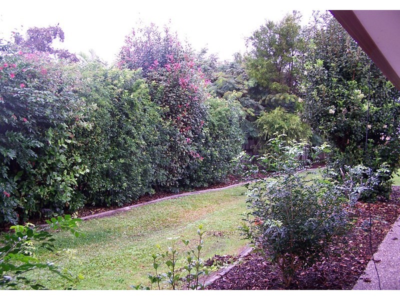 31 Avocado Street, Elanora QLD 4221