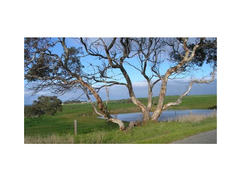 Sec 1326 Waitpinga Road, Victor Harbor SA 5211